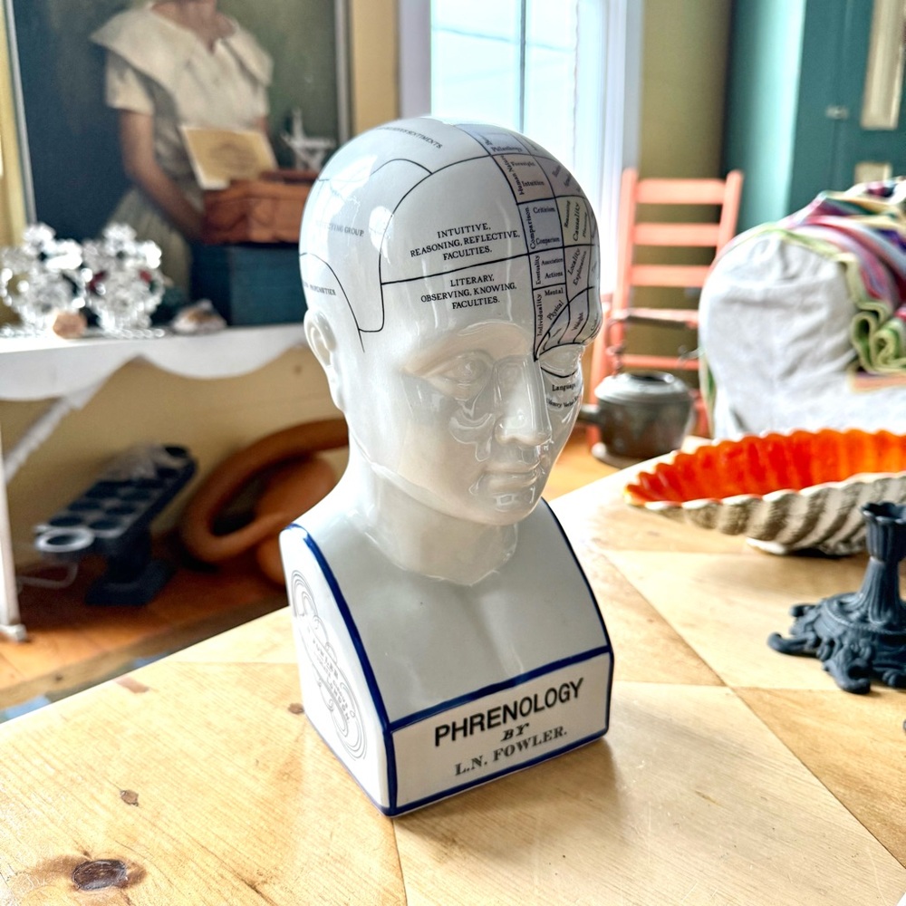 Phrenology Head Bust Porcelain Psychology Model L.N. Fowler